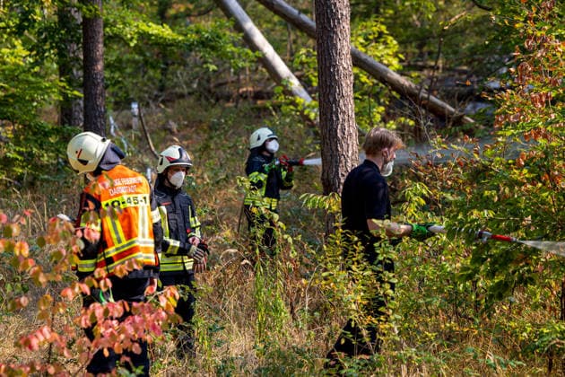 Forest Fire Covers About 12,600 Square Meters; Presence of Ammunition Complicates Firefighting Ef