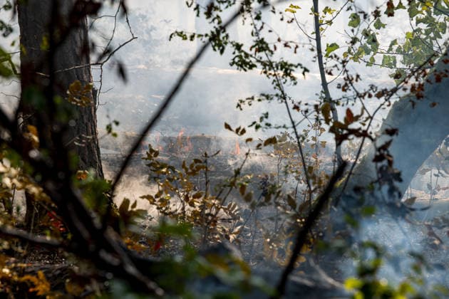 Forest Fire Covers About 12,600 Square Meters; Presence of Ammunition Complicates Firefighting Ef