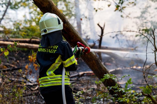 Forest Fire Covers About 12,600 Square Meters; Presence of Ammunition Complicates Firefighting Ef