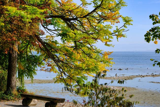 Lake Constance, an autumnal scene with low water levels near Mainau Island