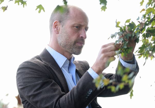 The Prince Of Wales Visits Monmouthshire And Herefordshire ABERGAVENNY, WALES - OCTOBER 01: Prince William, Prince Of Wales participates in a seed collection activity and hears about the progress towards the goal of planting one million trees during his visit to charity Stump Up For Trees, which aims to plant native trees across South Wales, at White Castle Farm on October 01, 2026 in Abergavenny, Wales. The Prince of Wales visited the region to meet with those tackling the threat of flooding caused by extreme weather conditions., Credit:Chris Jackson PA ROTA - B68 Avalon United Kingdom, Wales, Abergavenny  Copyright: xChrisxJacksonx xPAxROTAx-xB68x xAvalonx 1139798766