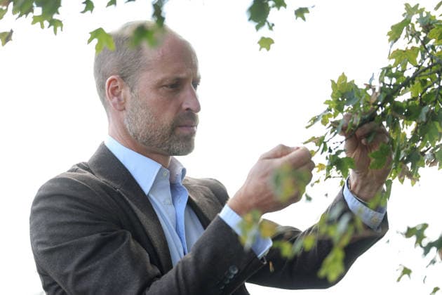 The Prince Of Wales Visits Monmouthshire And Herefordshire ABERGAVENNY, WALES - OCTOBER 01: Prince William, Prince Of Wales participates in a seed collection activity and hears about the progress towards the goal of planting one million trees during his visit to charity Stump Up For Trees, which aims to plant native trees across South Wales, at White Castle Farm on October 01, 2026 in Abergavenny, Wales. The Prince of Wales visited the region to meet with those tackling the threat of flooding caused by extreme weather conditions., Credit:Chris Jackson PA ROTA - B68 Avalon United Kingdom, Wales, Abergavenny  Copyright: xChrisxJacksonx xPAxROTAx-xB68x xAvalonx 1139800069