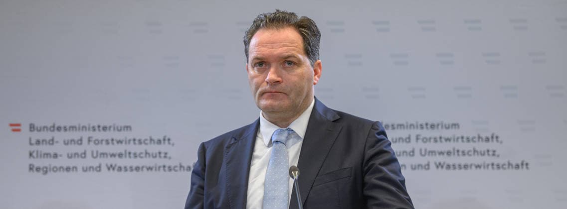 photonews in Vi