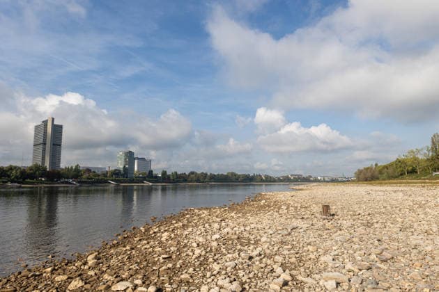 Low Water Levels Expose the Banks of the Rhine in Bonn Ramersdorf Bonn, October 2, 2026 Dried-up riverbank area of the Rhine in Bonn Ramersdorf Due to persistently low water levels, large sections of the riverbank—which are normally covered by the Rhine—are now v