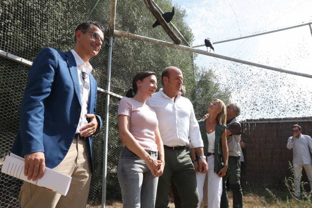 Andalusia Receives 15 Northern Bald Ibis from Germany The Regional Minister of Sustainability and the Environment for the Regional Government of Andalusia, Fina Martínez 2i, attended the ceremony in Barbate, Cádiz, to welcome 15 northern bald ibises (Geronticus eremita) from Germany. October 2, 2026, in Barbate, Cádiz, Andalusia, Spain. OCTOBER 2, 2026, Barbate, Cádiz, Andalusia, Spain Barbate, Cádiz, Andalusia, Spain Spain Copyright: xNachoxFradex 7815334