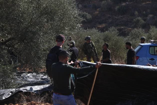 Israeli Settlers And Forces Attacked Palestinian Farmers During Olive Harvest In Beita BEITA, NABLUS, PALESTINE OCTOBER 2, 2026: Israeli settlers and Israeli forces attacked Palestinian farmers while they were picking olives in the Jabal Al-Arma area, east of Beita, south of Nablus. Settlers fired live ammunition toward the farmers, with no injuries reported. According to the Palestinian Red Crescent Society, Israeli forces also beat a 46-year-old Palestinian farmer during raids on olive farms in Beita. Witnesses told Anadolu that Israeli forces fired stun grenades and tear gas at farmers in the Jabal Al-Arma area, forcing them to leave. The olive harvest begins in early October and continues through the end of November, making it an im Copyright: x xSalmanxMohsenxAlkhatibx xJNAxPressx