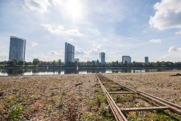 Low Water Levels on the Rhine in Bonn 02 10 26 Following the recent rains, the water level in Bonn is rising slightly again and stands at 64 cm, just slightly above the record low of 58 cm set o Copyright: xMarcxJohnx