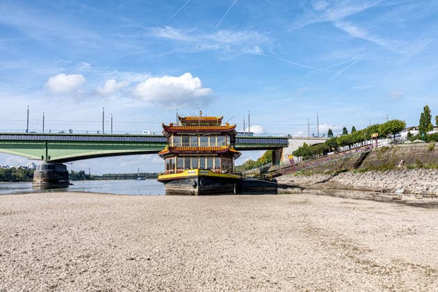 Low Water Levels on the Rhine in Bonn: The China Ship at the Kennedy Bridge, October 2, 2026. View of the Kennedy Bridge in Bonn. Due to the ongoing low water levels, the so-called China Ship —the restaurant ship Ocean Paradise, which has been closed since 2023—is is almost high and dry. Na Copyright: xMarcxJohnx