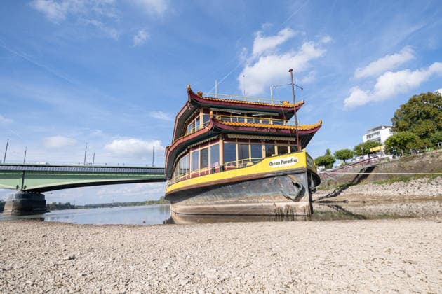 Low Water Levels on the Rhine in Bonn: The China Ship at the Kennedy Bridge, October 2, 2026. View of the Kennedy Bridge in Bonn. Due to the ongoing low water levels, the so-called China Ship —the restaurant ship Ocean Paradise, which has been closed since 2023—is is almost high and dry. Na Copyright: xMarcxJohnx