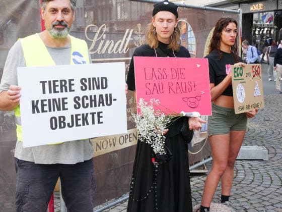 October 3, 2026, Lucerne, Switzerland: Protesters, animals, animal testing; photo: Demonstration and actions against animal testing and for animal welfare