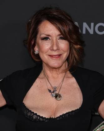 The Barbara Berlanti Heroes Gala Benefitting F Cancer in Los Angeles The Barbara Berlanti Heroes Gala Benefitting F Cancer at The Barker Hangar in Santa Monica, California on 10 3 26. 03 Oct 2026 Pictured: Joely Fisher.  Copyright: xThexMegaxAgencyxRiverx xMEGAx