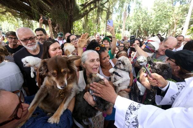 October 4, 2026, Rio De Janeiro, Rio De Janeiro, Brazil: PADRE JORGE LUIZ NEVES PEREIRA DA SILVA blessed over 100 pets who gathered at Praca Nossa Senhora da Paz in Ipanema, spreading prayers and holy water, as Nossa Senhora da Paz Church celebrated the Feast of St. Francis of Assisi with the traditional Blessing of the Animals honoring the patron saint of ecology and all creatures great and small. Rio De Janeiro Brazil  - ZUMAk251 20261004_znp_k251_012 Copyright: xBobxKarpx