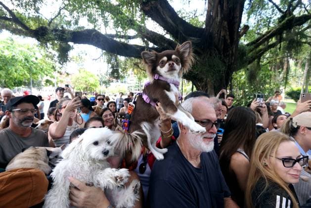 October 4, 2026, Rio De Janeiro, Rio De Janeiro, Brazil: Pet parents wait with their beloved animals to be blessed as over 100 pets gathered at Praca Nossa Senhora da Paz in Ipanema, spreading prayers and holy water, as Nossa Senhora da Paz Church celebrated the Feast of St. Francis of Assisi with the traditional Blessing of the Animals honoring the patron saint of ecology and all creatures great and small. Rio De Janeiro Brazil  - ZUMAk251 20261004_znp_k251_015 Copyright: xBobxKarpx