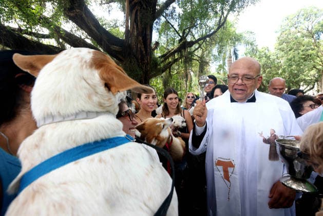 October 4, 2026, Rio De Janeiro, Rio De Janeiro, Brazil: PADRE JORGE LUIZ NEVES PEREIRA DA SILVA blessed over 100 pets who gathered at Praca Nossa Senhora da Paz in Ipanema, spreading prayers and holy water, as Nossa Senhora da Paz Church celebrated the Feast of St. Francis of Assisi with the traditional Blessing of the Animals honoring the patron saint of ecology and all creatures great and small. Rio De Janeiro Brazil  - ZUMAk251 20261004_znp_k251_020 Copyright: xBobxKarpx