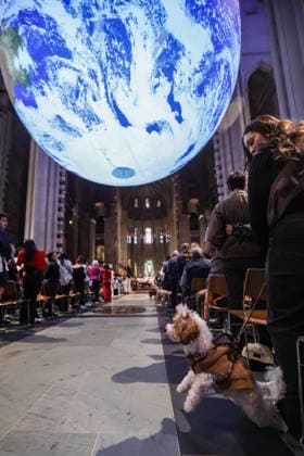 October 4, 2026, New York, New York, United States: A dog pulls excitedly onto its hind legs beneath Gaia, the monumental illuminated Earth installation by British artist LUKE JERRAM, during the Blessing of the Earth and Animals at the Cathedral of St. John the Divine in New York. The annual St. Francis Day celebration brings animals and their human companio New York United States - ZUMAo116 20261004_znp_o116_021 Copyright: xBiancaxOterox