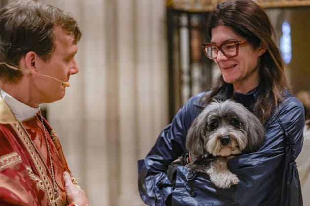 October 4, 2026, New York, New York, United States: The Right Reverend MATTHEW F. HEYD, Bishop of New York, blesses a dog held in the arms of its owner during the annual St. Francis Day Blessing of the Earth and Animals at the Cathedral of St. John the Divine in New York. The celebration, honouring animals, the Earth and the natural world, also marked the 800th anniversary of the death of St. Francis of Assisi. New York United States  - ZUMAo116 20261004_znp_o116_042 Copyright: xBiancaxOterox