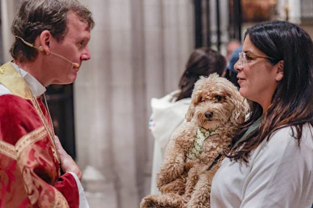 October 4, 2026, New York, New York, United States: The Right Reverend MATTHEW F. HEYD, Bishop of New York, blesses a dog held in the arms of its owner during the annual St. Francis Day Blessing of the Earth and Animals at the Cathedral of St. John the Divine in New York. The celebration, honouring animals, the Earth and the natural world, also marked the 800th anniversary of the death of St. Francis of Assisi. New York United States - ZUMAo116 20261004_znp_o116_043 Copyright: xBiancaxOterox
