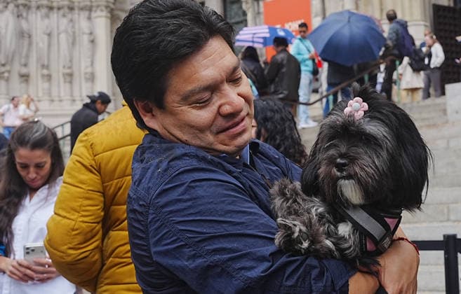 Annual animal blessing at the Cathedral of St. John the Divine in New York NEW YORK, UNITED STATES - OCTOBER 04: People attend with their pets at the annual animal blessing at the Cathedral of St. John the Divine on Sunday, October 4, 2026, in New York, U.S., celebrating the 800th anniversary of St. Francis of Assisi, the patron saint of the environment and ecology. Selcuk Acar Anadolu New York United States. Editorial use only. Please get in touch for any other usage.  Copyright: x2026xAnadoluxSelcukxAcarx