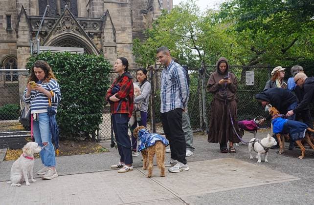 Annual animal blessing at the Cathedral of St. John the Divine in New York NEW YORK, UNITED STATES - OCTOBER 04: People attend with their pets at the annual animal blessing at the Cathedral of St. John the Divine on Sunday, October 4, 2026, in New York, U.S., celebrating the 800th anniversary of St. Francis of Assisi, the patron saint of the environment and ecology. Selcuk Acar Anadolu New York United States. Editorial use only. Please get in touch for any other usage.  Copyright: x2026xAnadoluxSelcukxAcarx