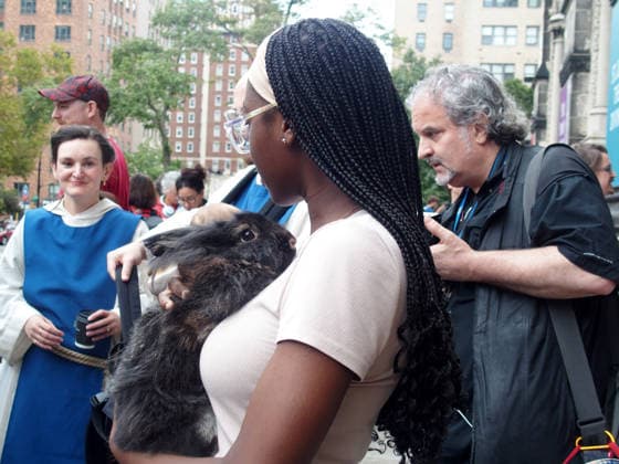 October 4, 2026, Manhattan, New York, U.S.A: New York, New York October 4, 2026.The Feast of St. Francis and Blessing of the Animals is a beloved Cathedral tradition all animals are welcomed at The Cathedral of Saint John the Divine. Manhattan U.S.A  - ZUMAc308 20261004_znp_c308_042 Copyright: xSamanthaxCotlerx