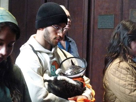October 4, 2026, Manhattan, New York, U.S.A: New York, New York October 4, 2026.The Feast of St. Francis and Blessing of the Animals is a beloved Cathedral tradition all animals are welcomed at The Cathedral of Saint John the Divine. Manhattan U.S.A - ZUMAc308 20261004_znp_c308_033 Copyright: xSamanthaxCotlerx