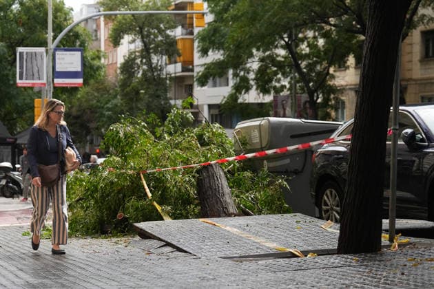 Heavy rains in Catalonia cause widespread disruption. A tree fell due to the rain on Mandri Street on October 5, 2026, in Barcelona, Catalonia, Spain. Rain and storms will once again dominate the day on Monday, though with less intensity than over the weekend, with yellow and orange alerts in effect at times in some areas of the country, and even a red alert remaining in effect until 10 a.m. in Barcelona, with cumulative rainfall of 90 l m². October 5, 2026, Barcelona, Catalonia, Spain Copyright: xDavidxZorrakinox 7822701