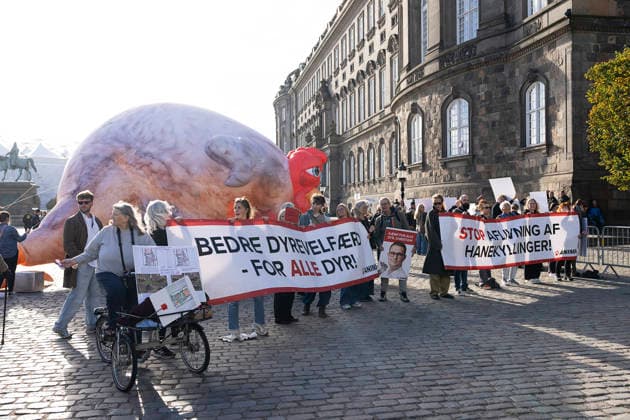 Opening of the Folketing: Demonstration in front of Christiansborg. Demonstration at the opening of the Folketing at Christiansborg Palace in Copenhagen, Tuesday, October 6, 2026. Photo by Claus Bech, Ritzau Scanpix, Copenhagen, Denmark  Copyright: fotograf@clausbech.dk ClausxBechx spdk20261006-141948-L