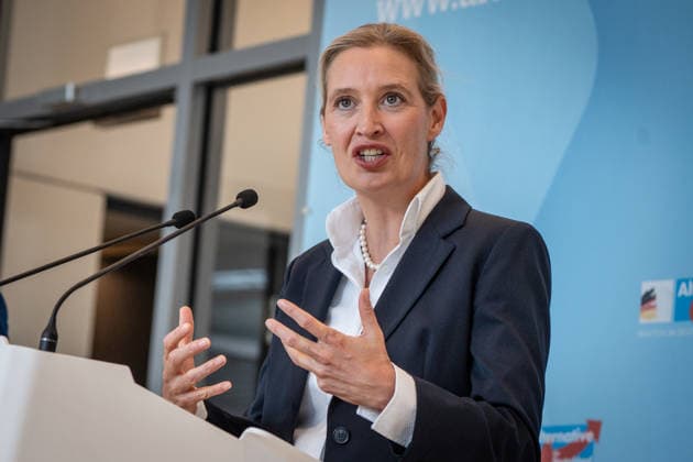 Alice Weidel, AfD Party and Parliamentary Group Chair Press statement by the two party chairs and parliamentary group chairs of the AfD before the start of the parliamentary group meeting in the German Bundestag, Berlin, Berlin, Germany, Bundestag
