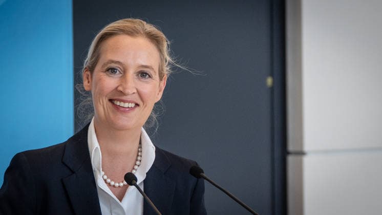 Alice Weidel, AfD Party and Parliamentary Group Chair Press statement by the two party chairs and parliamentary group chairs of the AfD before the start of the parliamentary group meeting in the German Bundestag, Berlin, Berlin, Germany, Bundestag