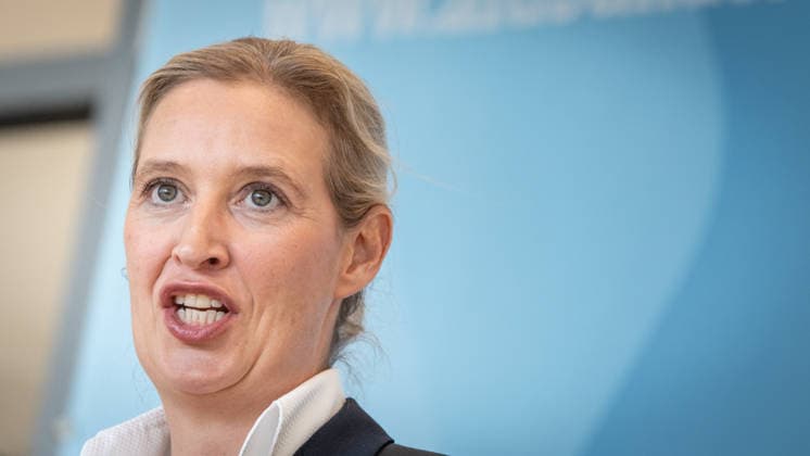 Alice Weidel, AfD Party and Parliamentary Group Chair Press statement by the two party chairs and parliamentary group chairs of the AfD before the start of the parliamentary group meeting in the German Bundestag, Berlin, Berlin, Germany, Bundestag