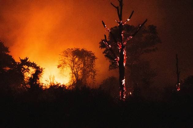 October 6, 2026, Jambi, Indonesia: JAMBI, INDONESIA, OCTOBER 6, 2026: Firefighters battle a land fire burning through trees and vegetation in the Penyengat Rendah area of Jambi City, as local residents observe the blaze. Forest and land fires across parts of Jambi and Sumatra continue to affect air quality and raise environmental concerns during the dry season. Jambi Indonesia  - ZUMAq101 20261006_zna_q101_119 Copyright: xPrabanndaruxWahyuajix