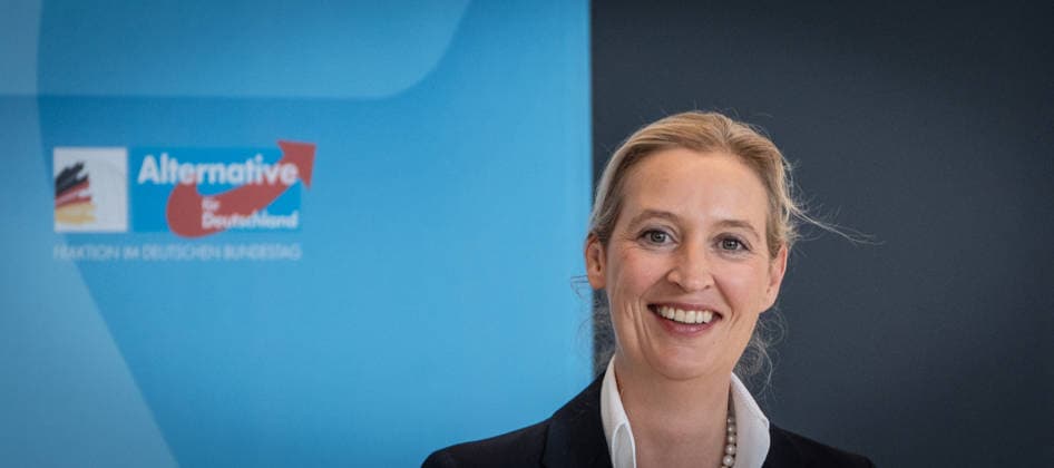 Alice Weidel, AfD Party and Parliamentary Group Chair Press statement by the two party chairs and parliamentary group chairs of the AfD before the start of the parliamentary group meeting in the German Bundestag, Berlin, Berlin, Germany, Bundestag