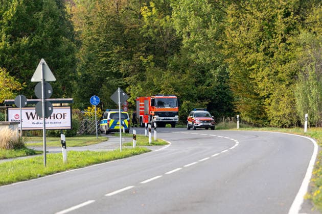 250-kg World War II Bomb Found in City Forest; Demolition Necessary on the Same Day On Wednesday, October 7, 2