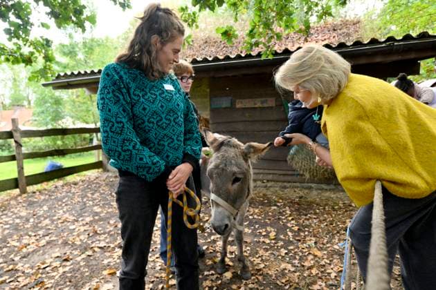 Queen Mathilde Visits Winners Of the 2026 Queen Mathilde Prize GREZ-DOICEAU, BELGIUM - OCTOBER 08: Queen Mathilde of Belgium pictured visiting two organizations that won the 2026 Queen Mathilde Prize : Vzw Alba, on October 08, 2026 in Grez-Doiceau, Belgium, 08 10 2026 Grez-Doiceau Belgium  Copyright: xPhilipxReynaersx