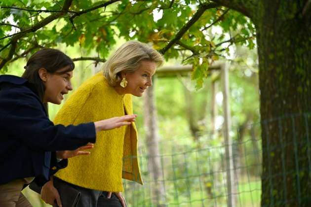 Queen Mathilde Visits Winners Of the 2026 Queen Mathilde Prize GREZ-DOICEAU, BELGIUM - OCTOBER 08: Queen Mathilde of Belgium pictured visiting two organizations that won the 2026 Queen Mathilde Prize : Vzw Alba, on October 08, 2026 in Grez-Doiceau, Belgium, 08 10 2026 Grez-Doiceau Belgium  Copyright: xPhilipxReynaersx