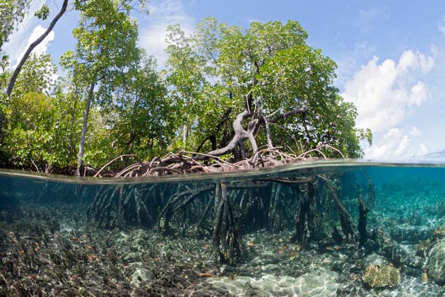 IMAGO Nature: Our Earth, nature conservation, Protected areas in Asia