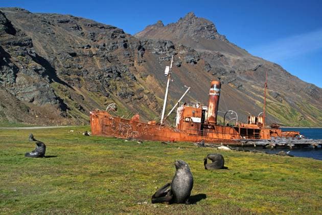 Calendar motifs: Shipwrecks