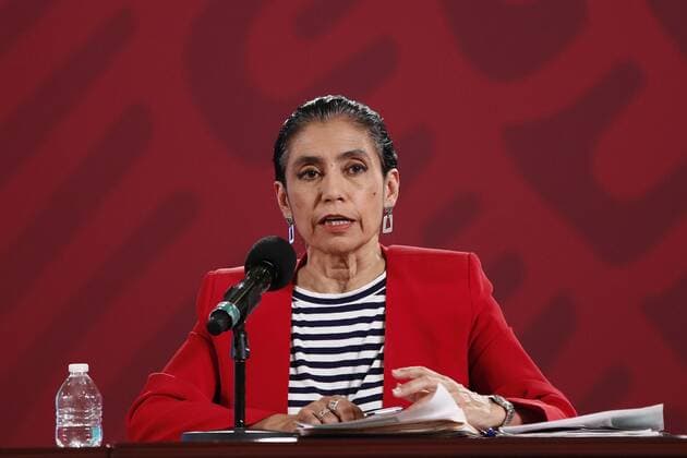 Coronavirus in Mexico, press conference by Olivia Lopez Arellano