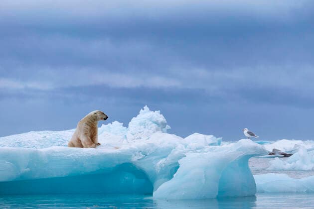 IMAGO Nature: Our Earth, environmental problems, climate change, arctic and antarctic ice melting