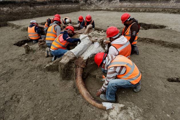 Mexico, discovery of a mammoth skeleton during construction work for Felipe Angeles Airport