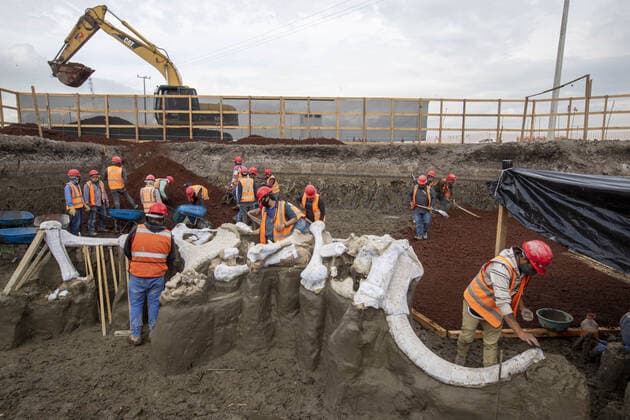 Mexico City, Palaeontological excavation on the construction site of the new airport