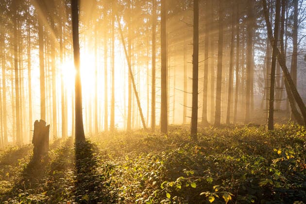 IMAGO Nature: Our Earth, Resources, Sunlight