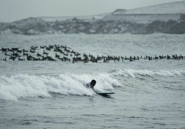 Canada, extreme surfers in Lake Ontario in Toronto