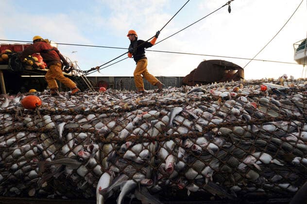 IMAGO Nature, Our Earth, environmental problems, Overfishing