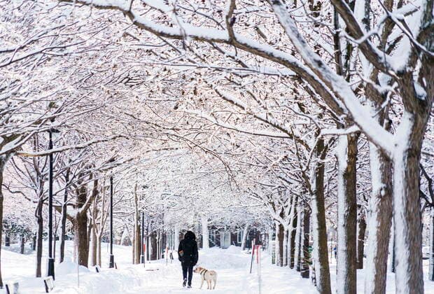 Canada, snow masses in Montreal