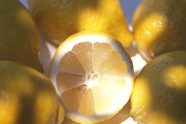 IMAGO Creative, Summer, Lemons - summer freshness