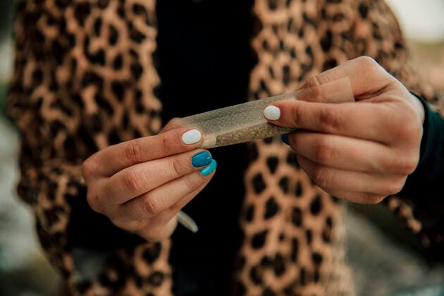 Traffic light coalition plans legalisation of cannabis for adults