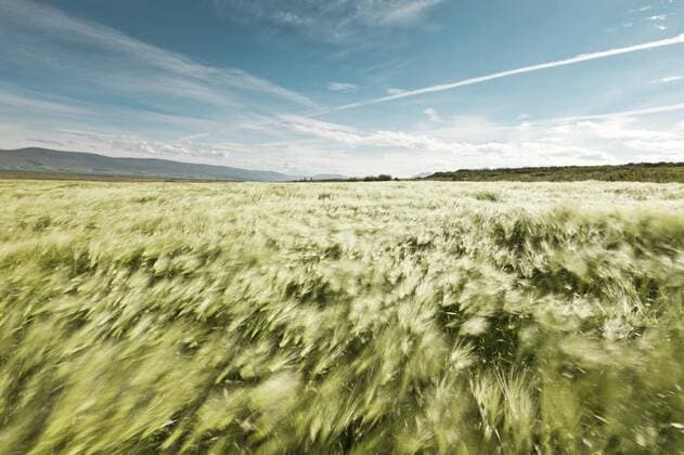 IMAGO Nature: Our Earth, Resources, Wind