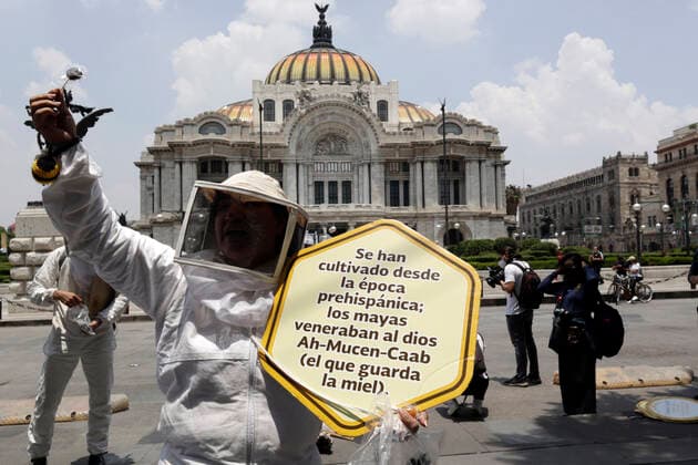 Mexico, National Bees Day in Mexico City