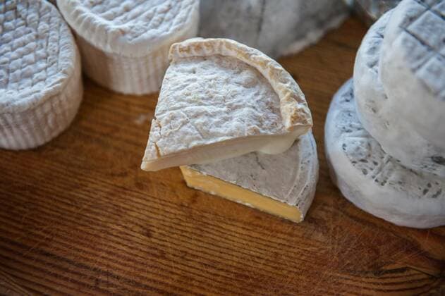 Cheese, researchers warn of the end of the Camembert mushroom, archive images